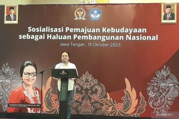 DPR sebut budaya mesti dikaitkan dengan ekonomi agar sejahtera