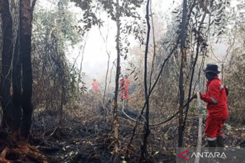 Satgas gabungan memadamkan karhutla di kawasan Gubernur Sarkawi