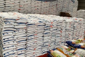 Pemprov: Stok beras di Papua aman hingga 5 bulan ke depan