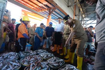 Pj Gubernur Sulsel meninjau TPID Poetere Makassar