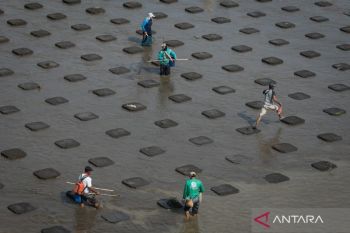 Kementan tekankan pentingnya irigasi untuk kemajuan pertanian