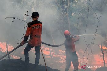 Karhutla hanguskan 20 hektare lahan di Kabupaten OKU