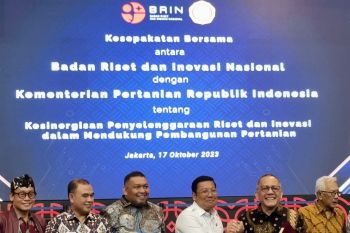 Inovasi riset perlu untuk intensifikasi hasil panen