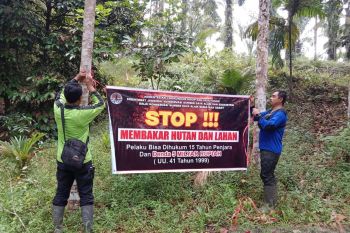 BKSDA Sumbar pasang spanduk imbauan cegah kebakaran Kahutla