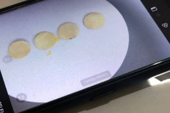 Mahasiswa Unram menemukan pendeteksi merkuri dari kulit buah kepundung