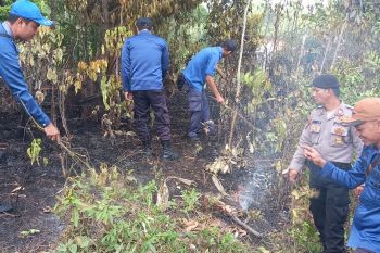 Kebakaran lahan di Pesisir Barat berhasil dipadamkan