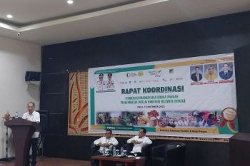 Dinas Pangan Provinsi Sulteng upayakan stabilisasi pasokan dan harga pangan