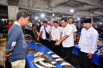 Penjabat Gubernur Sulsel kunjungi Pasar Gowa cek harga kebutuhan pokok
