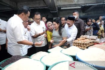Pj Gubernur Sulsel pantau operasi pasar di Kabupaten Gowa