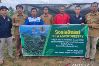 BPDAS Musi gelar pendampingan program pelestarian DAS