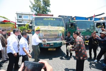 Menperin lepas ekspor ikan sarden Banyuwangi ke Jerman