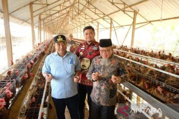 Bupati Gowa paparkan potensi peternakan kepada Penjabat Gubernur Sulsel