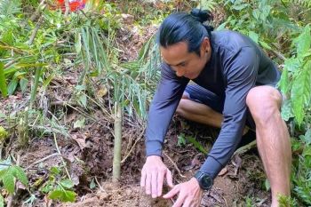 BPOLBF promosi desa wisata Golo Loni lewat wisata pengenalan