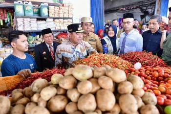 Pj Gubernur Sulsel mengingatkan kembali ASN tanam cabai jaga harga
