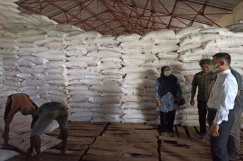 Gunungkidul percepat penyaluran benih padi dukung masa tanam