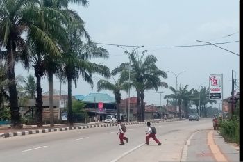 DLHP: Titik api di Sumsel menurun  signifikan