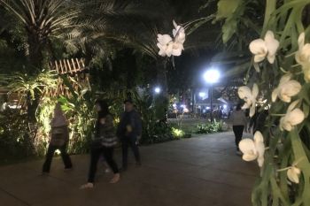 KLHK ajak masyarakat peduli flora dan fauna melalui Kehati Expo