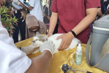 Dinas Pertanian Palangka Raya mewaspadai penyebaran kasus rabies