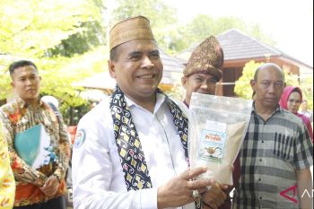 Wamendes PDTT minta kepala desa berinovasi