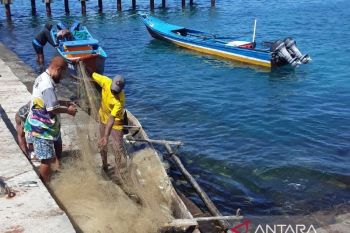 Papua's four districts to export fish to Japan at 2023 STC