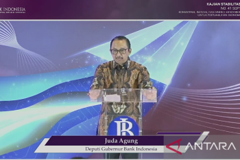 Higher-for-longer interest rate to maintain stability amid turmoil: BI