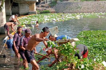 16 meter kubik sampah sungai terjaring dalam sehari di Mataram