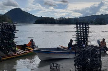 Dinas Perikanan Jayapura melibatkan masyarakat jaga ekosistem laut
