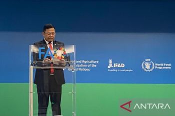 Jokowi's Special Envoy outlines Indonesia's food issues at CFS