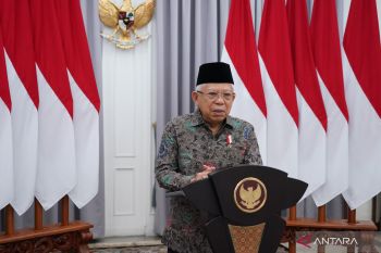 Need stronger cooperation among women's organizations on equality: VP