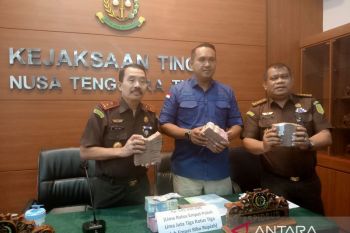 Kejati: Kerugian negara proyek persemaian di NTT Rp9,9 miliar