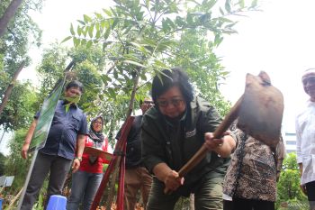 Minister Bakar plants trees, promotes EV use
