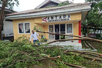 Wilayah Manggarai dan Matim berpotensi dilanda hujan