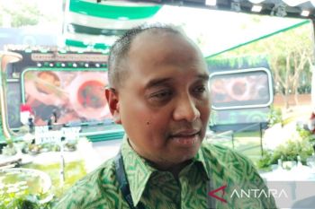 PLN to construct solar power plant in Nusantara: OIKN