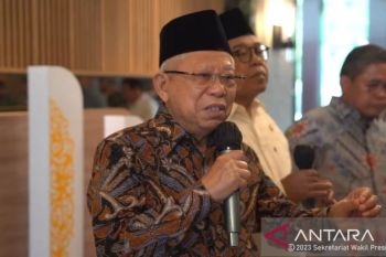 Israeli bombardment of Gaza not self-defense, but genocide: VP