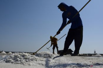 Produksi garam Sulsel mampu penuhi kebutuhan warga