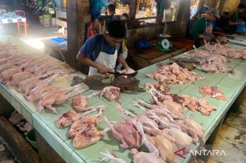 Harga daging ayam Rp37.000/kg di Minggu pagi