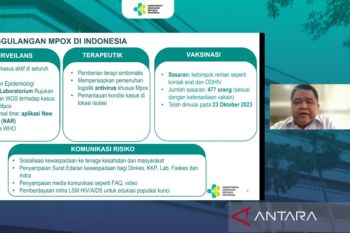 Mpox: 14 cases confirmed in Indonesia so far