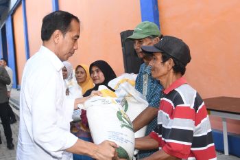 Pemerintah siapkan anggaran bantuan pangan periode Januari-Maret 2024