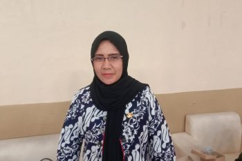 Pemprov Maluku sebut rumah kemasan bantu UMKM kembangkan usaha