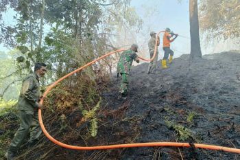 BMKG sebut jumlah titik panas di Kaltim turun dari 206 menjadi 106