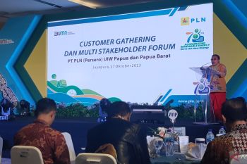 Pemprov harap PLN terus prioritaskan pembangunan listrik di Papua