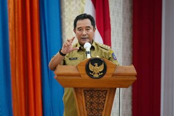 Pj Gubernur Sulsel ajak pemuda jadi petani milenial di momentum Sumpah Pemuda