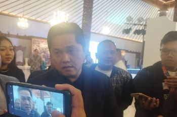 Menteri BUMN pelajari rencana divestasi saham Vale