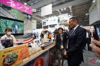 Indonesia's tourism sector showed significant recovery, says minister