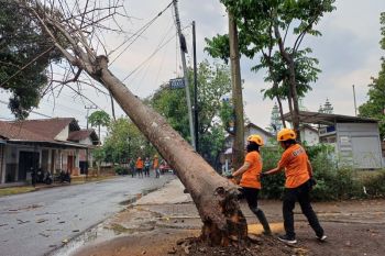Angin kencang dan hujan lebat terjang empat desa