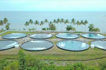 Program "Electrifying Agriculture" PLN dukung peningkatan kualitas pertanian Indonesia
