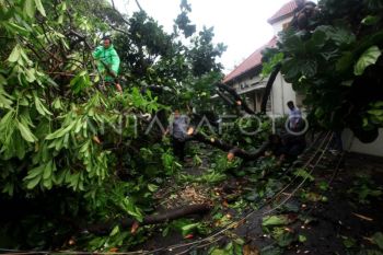 BPBD Bantul: Waspadai angin kencang dan gelombang tinggi pada musim peralihan