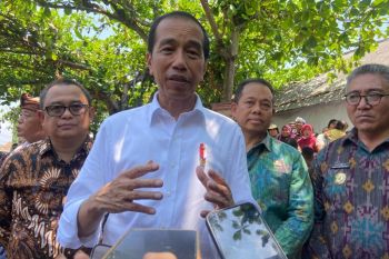 Three steps to anticipate political year's impact on economy: Jokowi