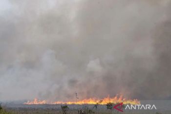 Ministry recommends extension of weather modification in Sumatra