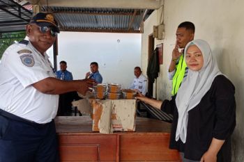 BKSDA Maluku serah terima satwa puluhan ekor kadal lidah biru